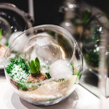 免费ddos压力测试平台